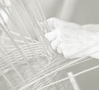 Subfamilia de la familia 01