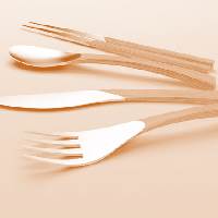 Subfamilia 02 de la familia 02